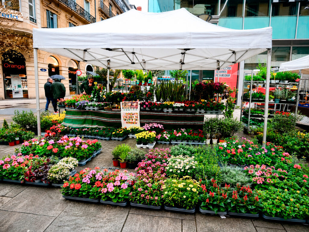 Puesto de Viveros El Montañés en mercado