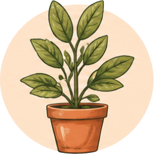plantas de interior tafalla