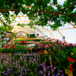 plantas interior tafalla