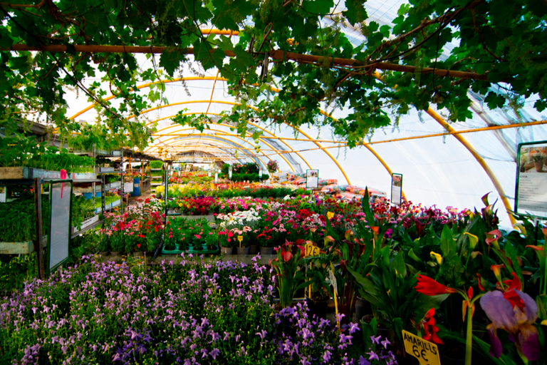 plantas interior tafalla