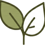 plantas y arboles de calidad certificada