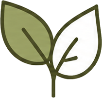 plantas y arboles de calidad certificada
