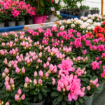 vivero plantas de exteior flores en tafalla12
